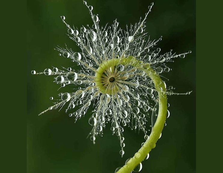 Une petite histoire de l'abstraction - Jiel-artiste